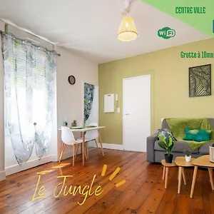 Appartement Le Jungle--hyper Centre--tout Confort--wifi, Lourdes